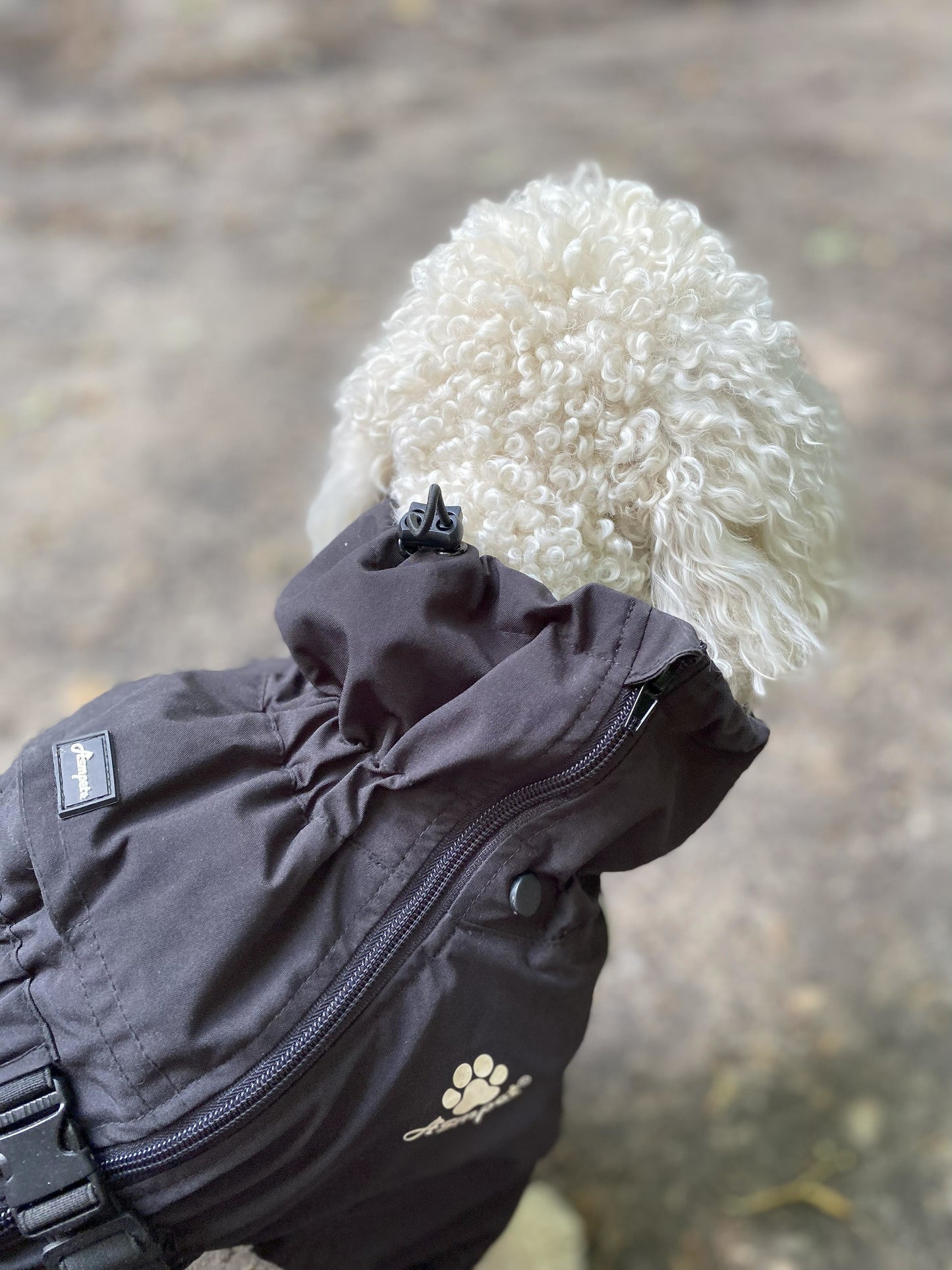 Smudge's Waterproof Coat
