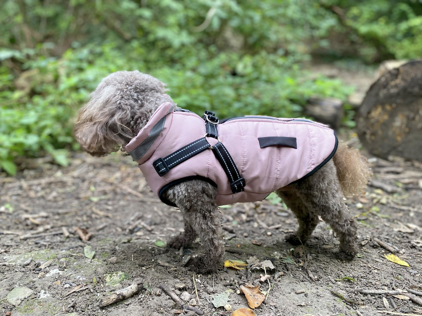 Winter Warm Reflective Coat
