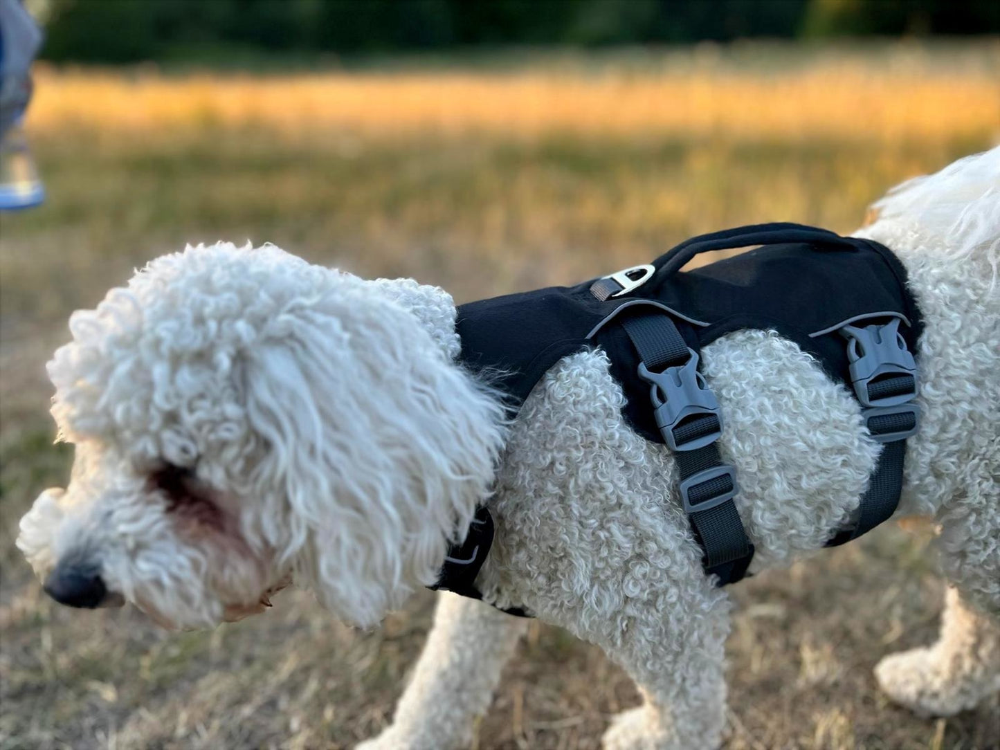 Durable Dog Harness