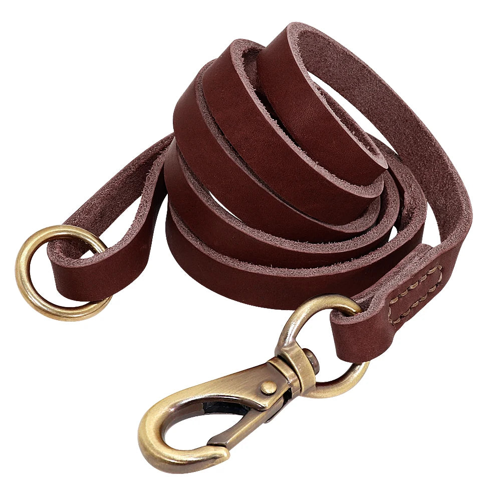 Leather Lead