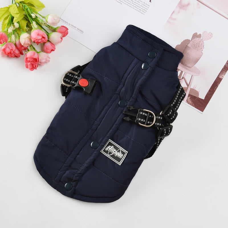 Coat with Harness for the Smaller Dog or Puppy