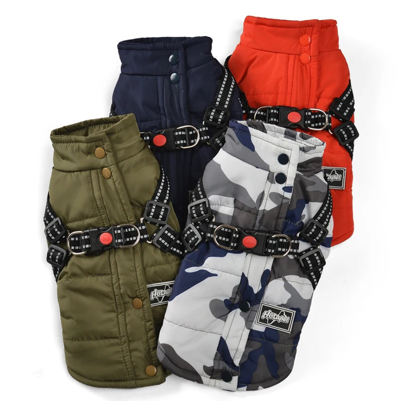 Coat with Harness for the Smaller Dog or Puppy