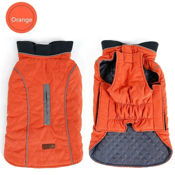 Quilted Dog Coat