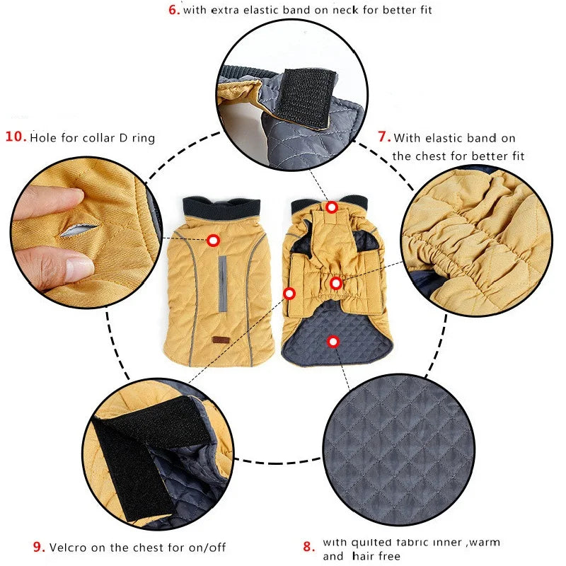 Quilted Dog Coat