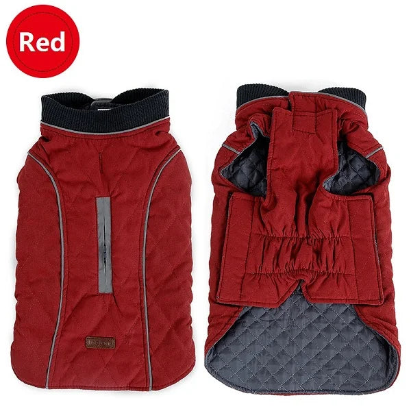 Quilted Dog Coat
