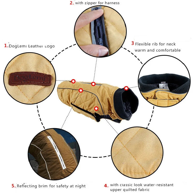 Quilted Dog Coat