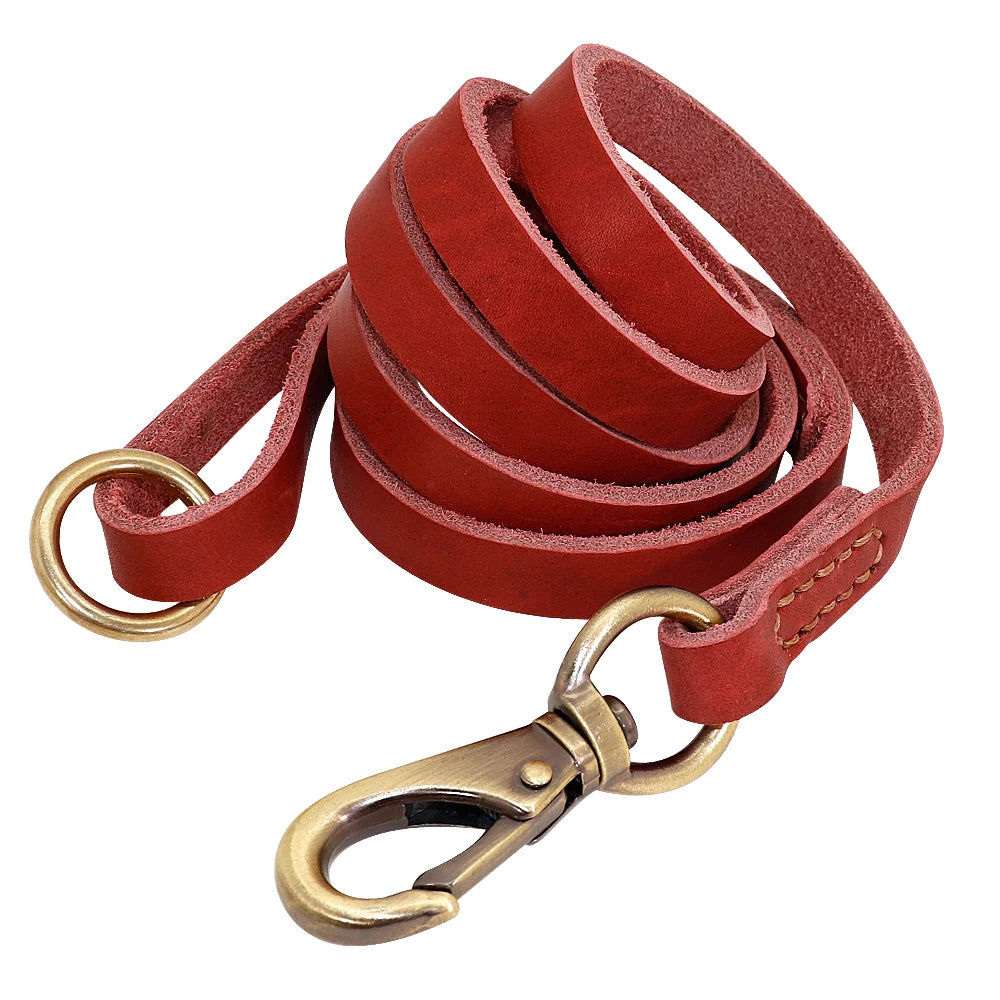 Leather Lead