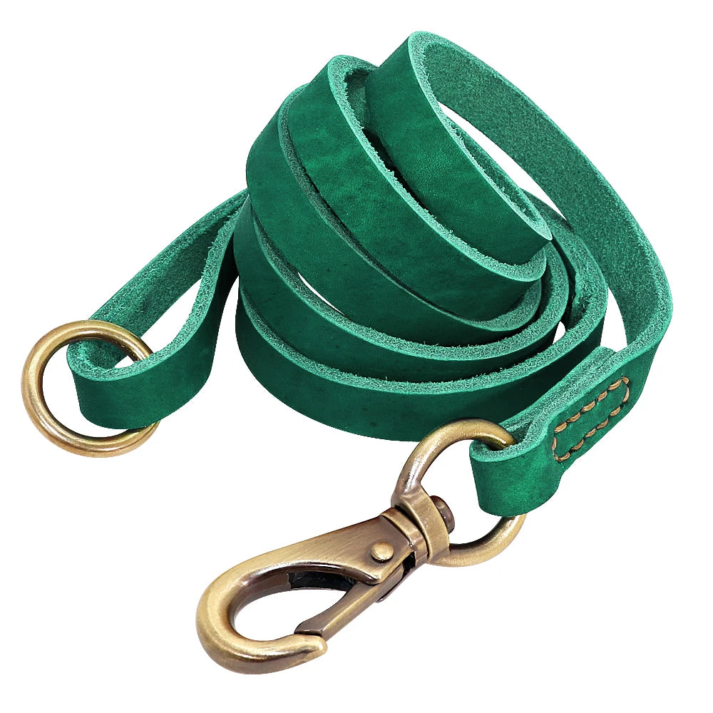 Leather Lead