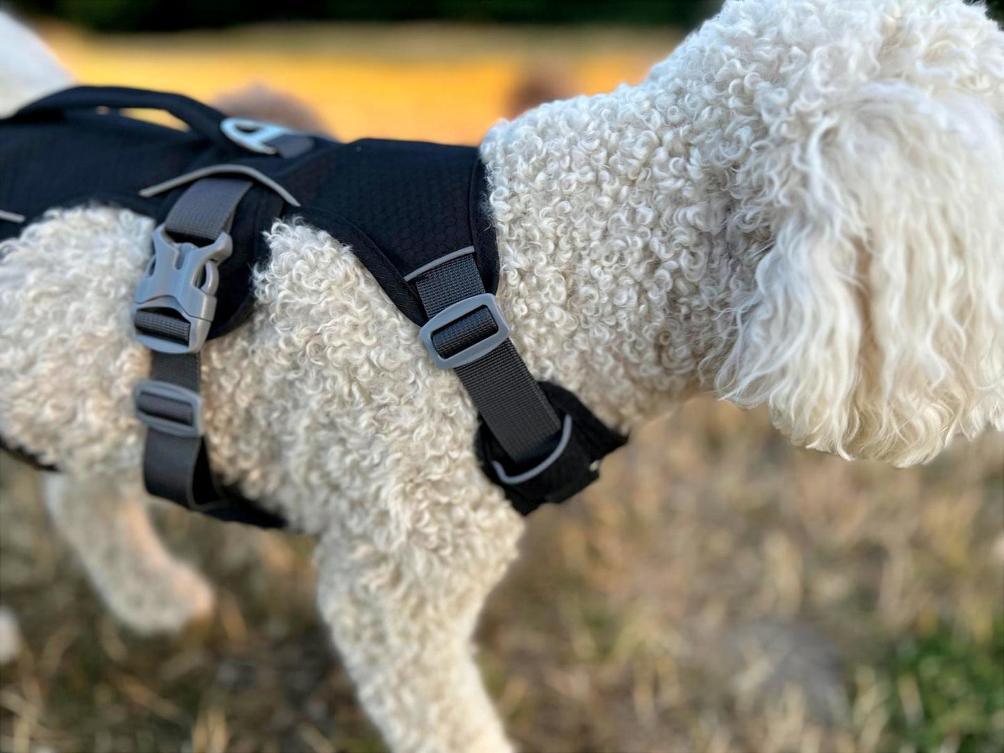 Durable Dog Harness