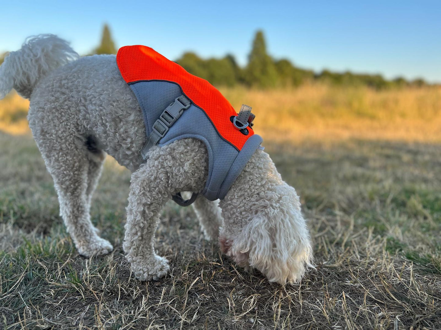 Cooling Jacket