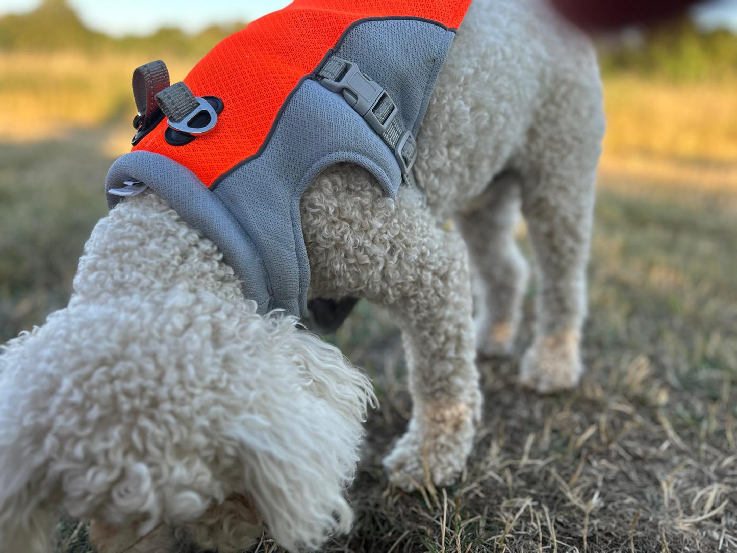 Cooling Jacket