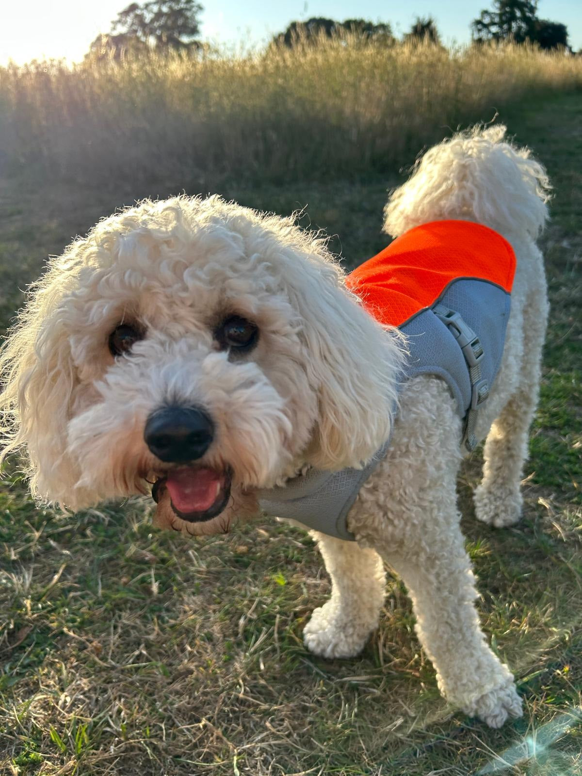 Cooling Jacket