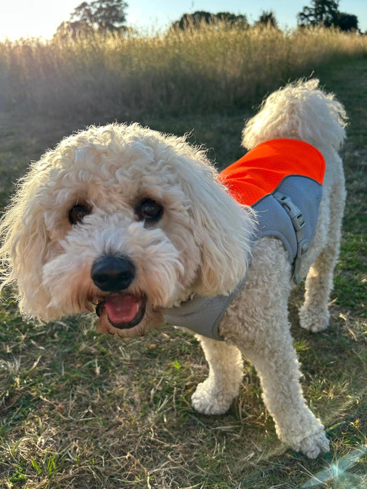 Cooling Jacket
