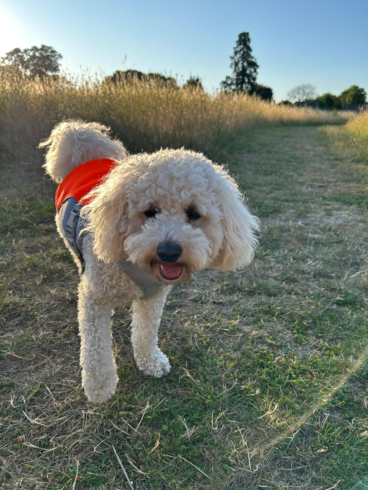 Cooling Jacket