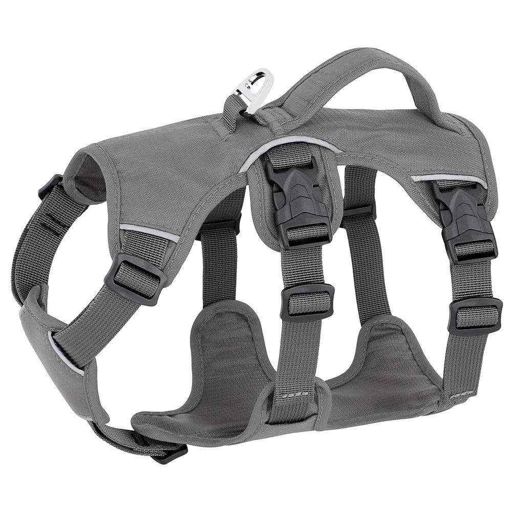 Fully Adjustable Waterproof Padded Harness
