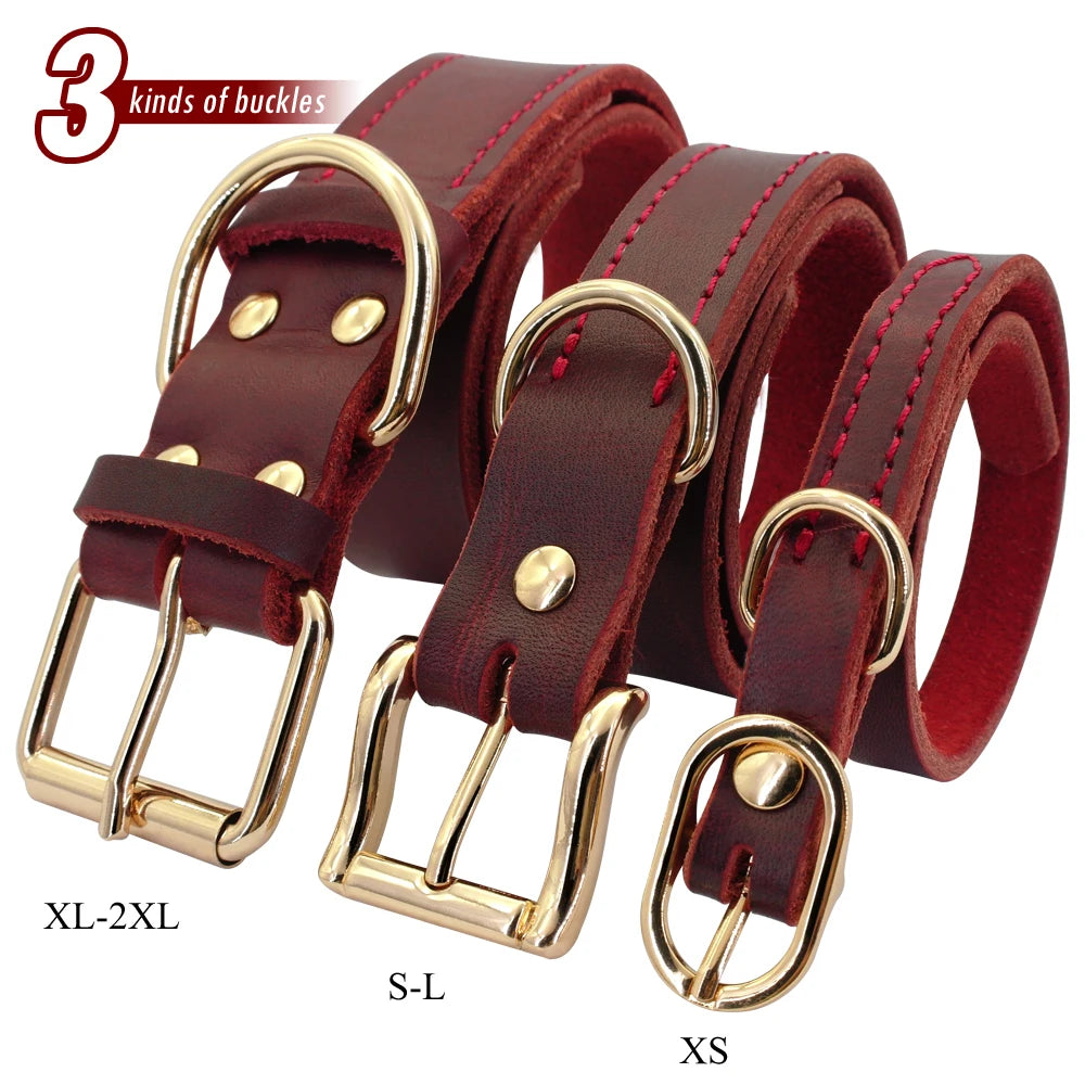Leather Collar in multiple sizes