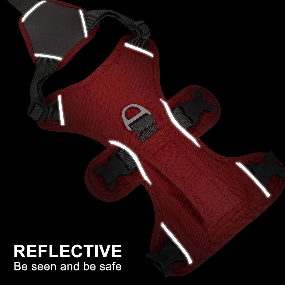 Fully Adjustable Waterproof Padded Harness