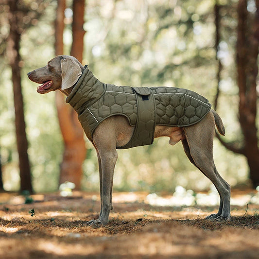 Padded Waterproof Jacket for Medium to Large Dogs