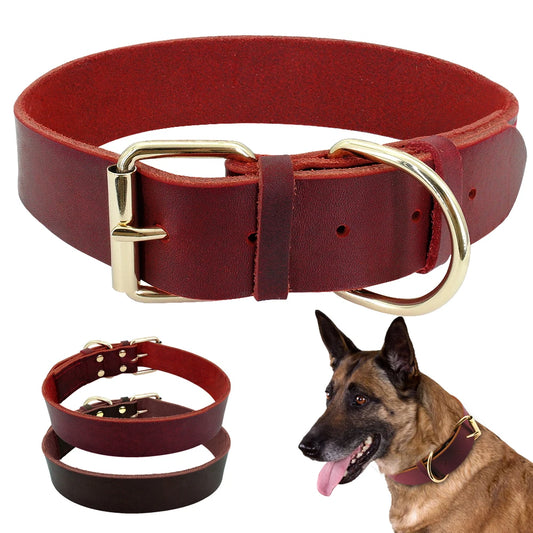 Leather Collar in multiple sizes