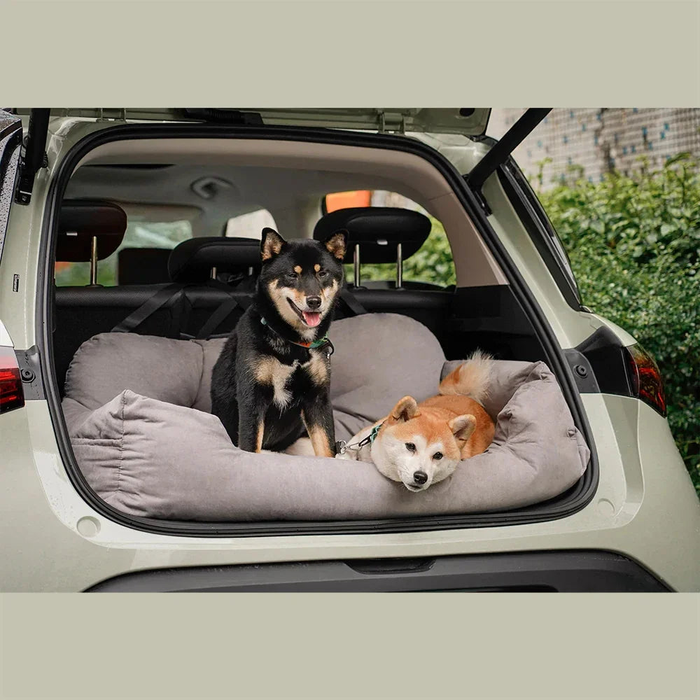 Chillin' in the back!