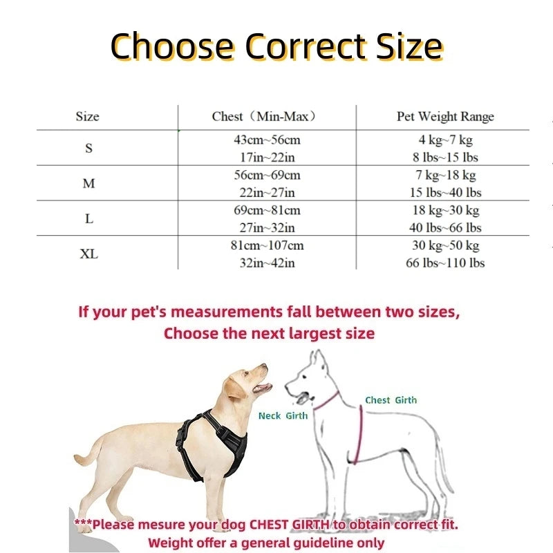 Padded and Reflective Harness