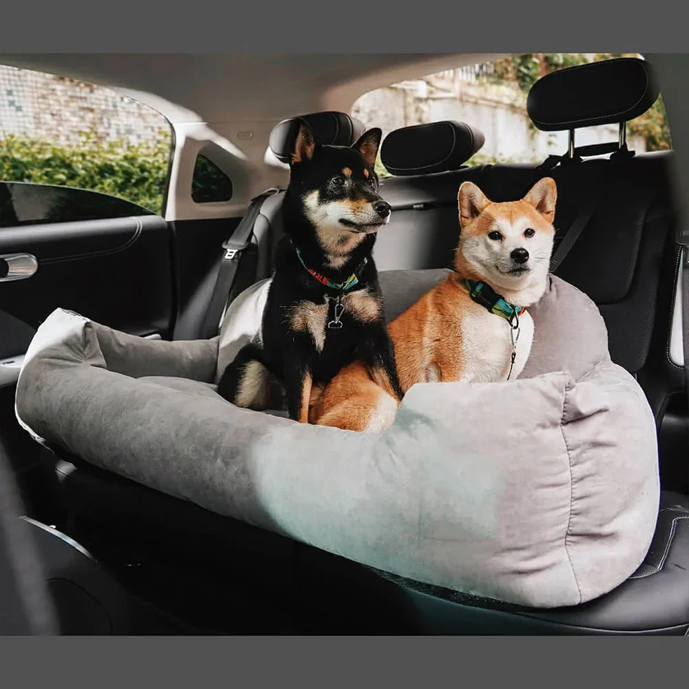 Chillin' in the back!