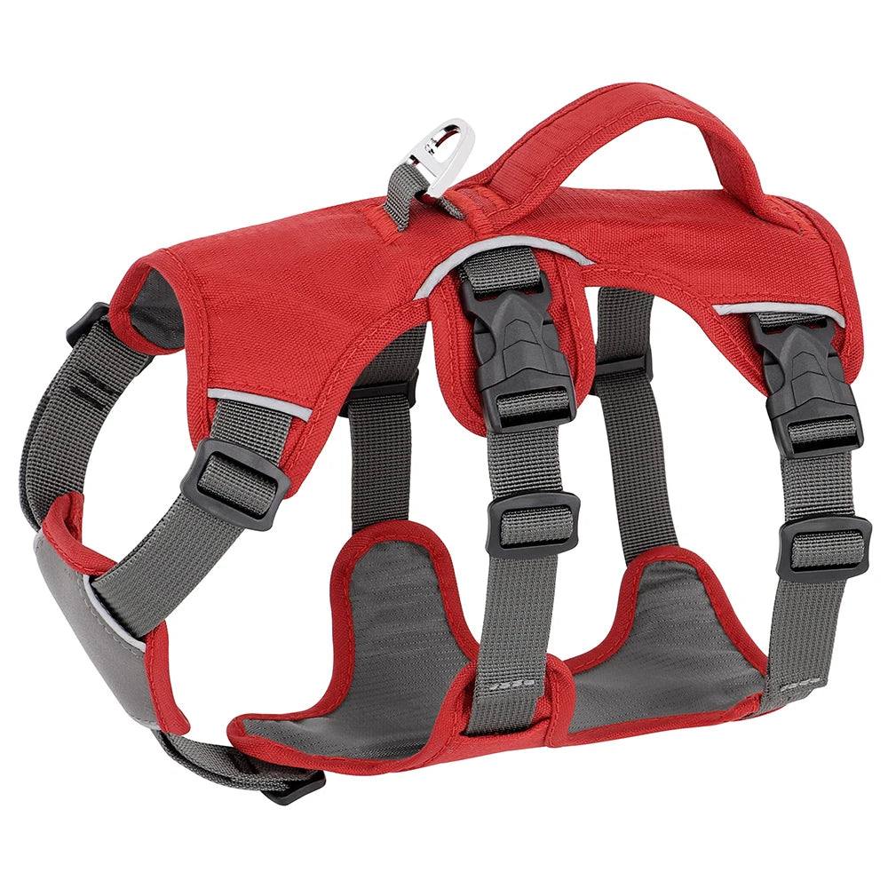 Fully Adjustable Waterproof Padded Harness