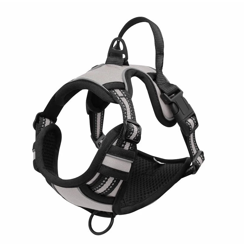 Padded and Reflective Harness