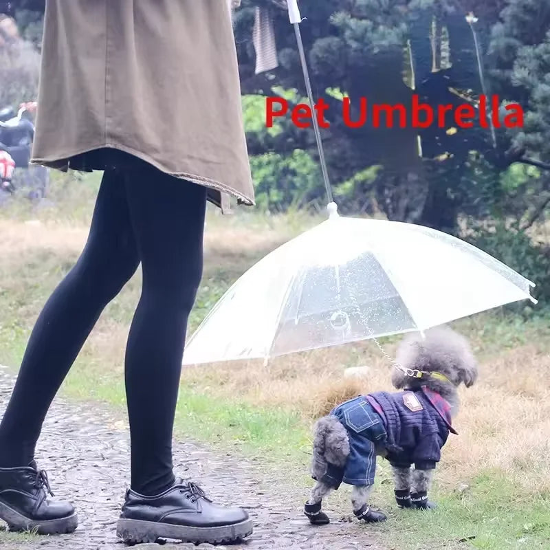 Doggy Brolly!