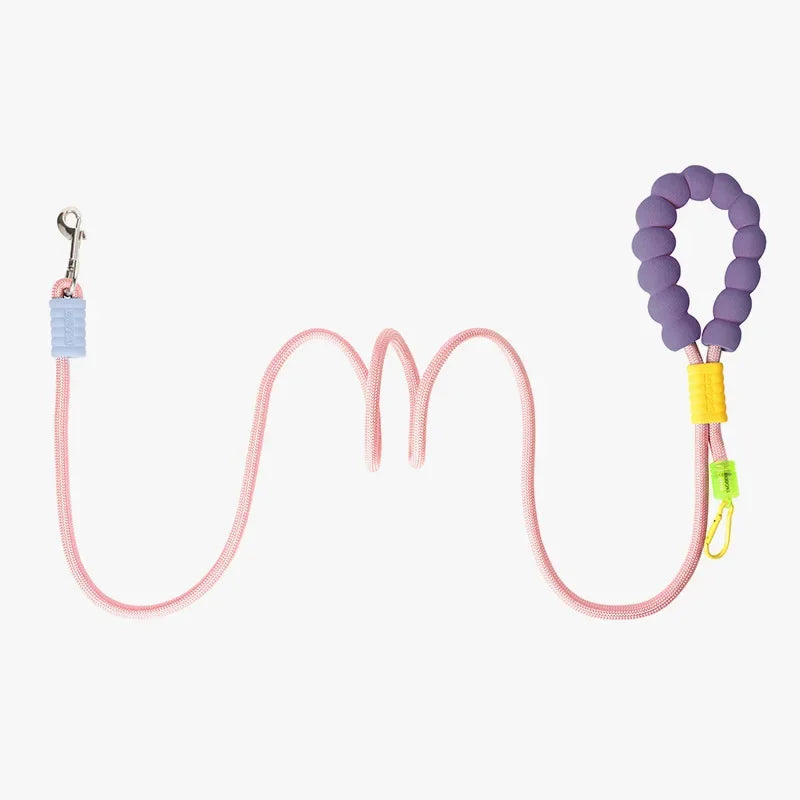 Colourful Multiple Use Leash