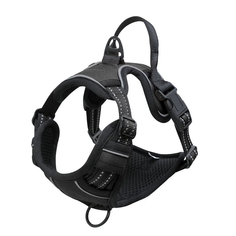 Padded and Reflective Harness