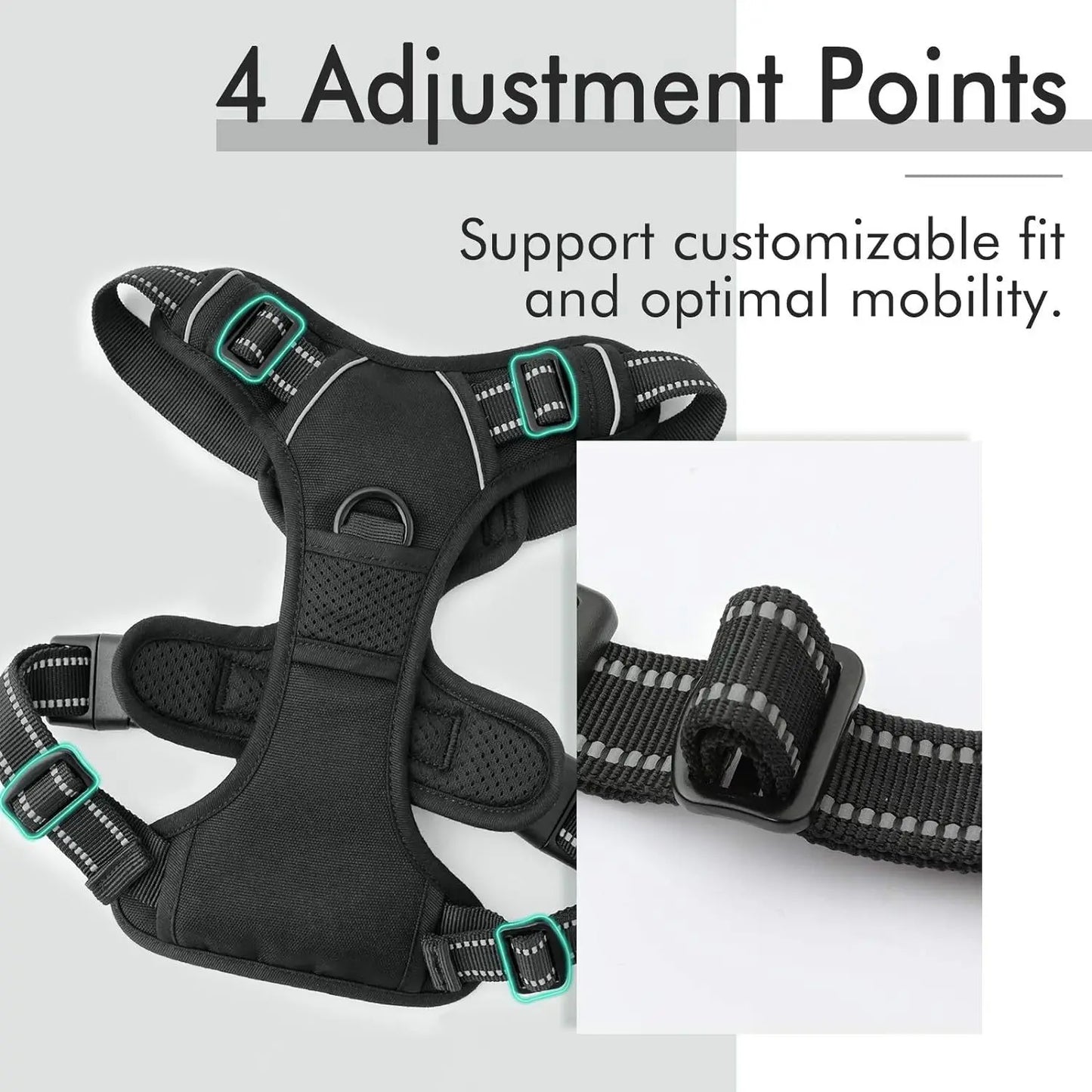 Padded and Reflective Harness