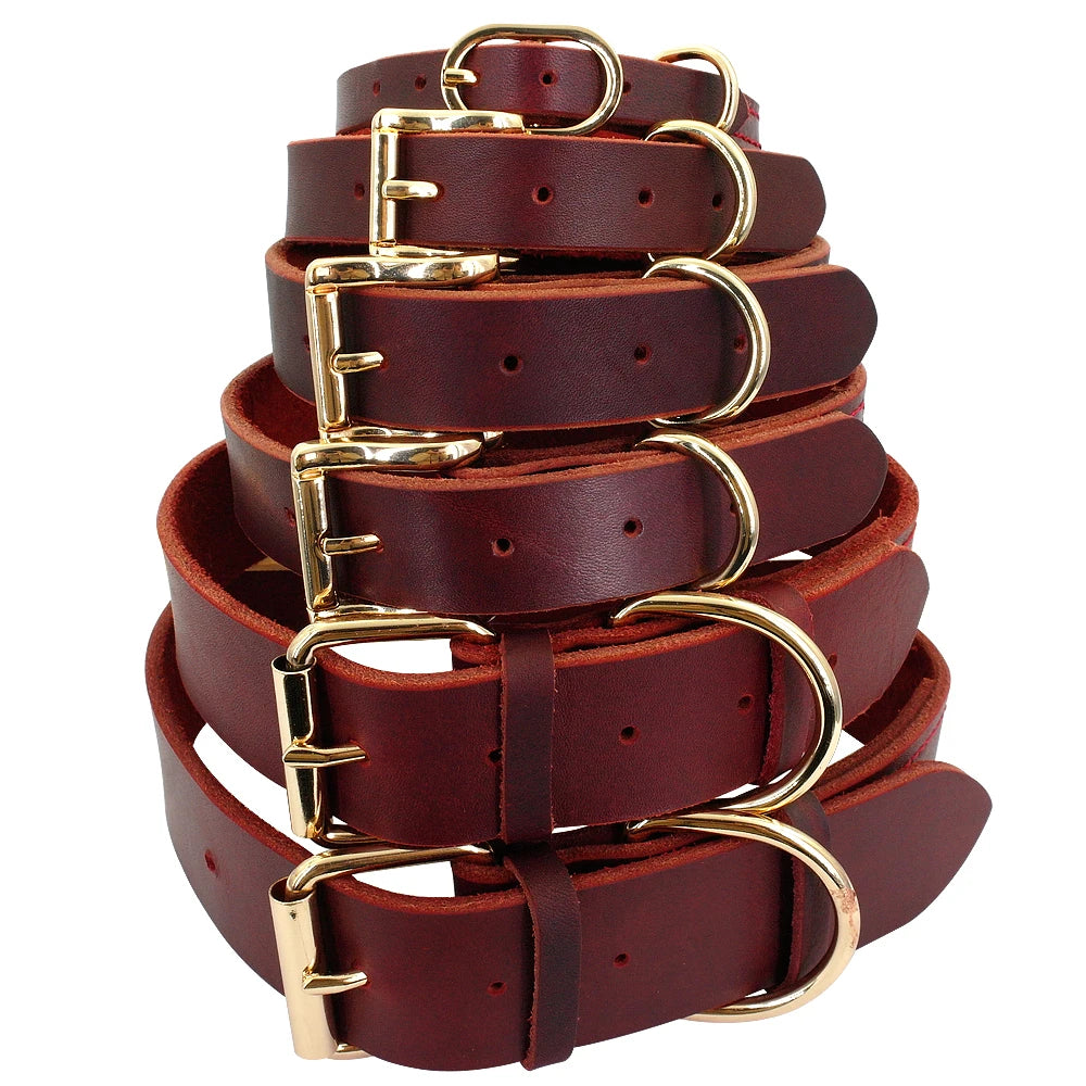 Leather Collar in multiple sizes