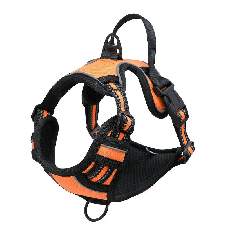 Padded and Reflective Harness