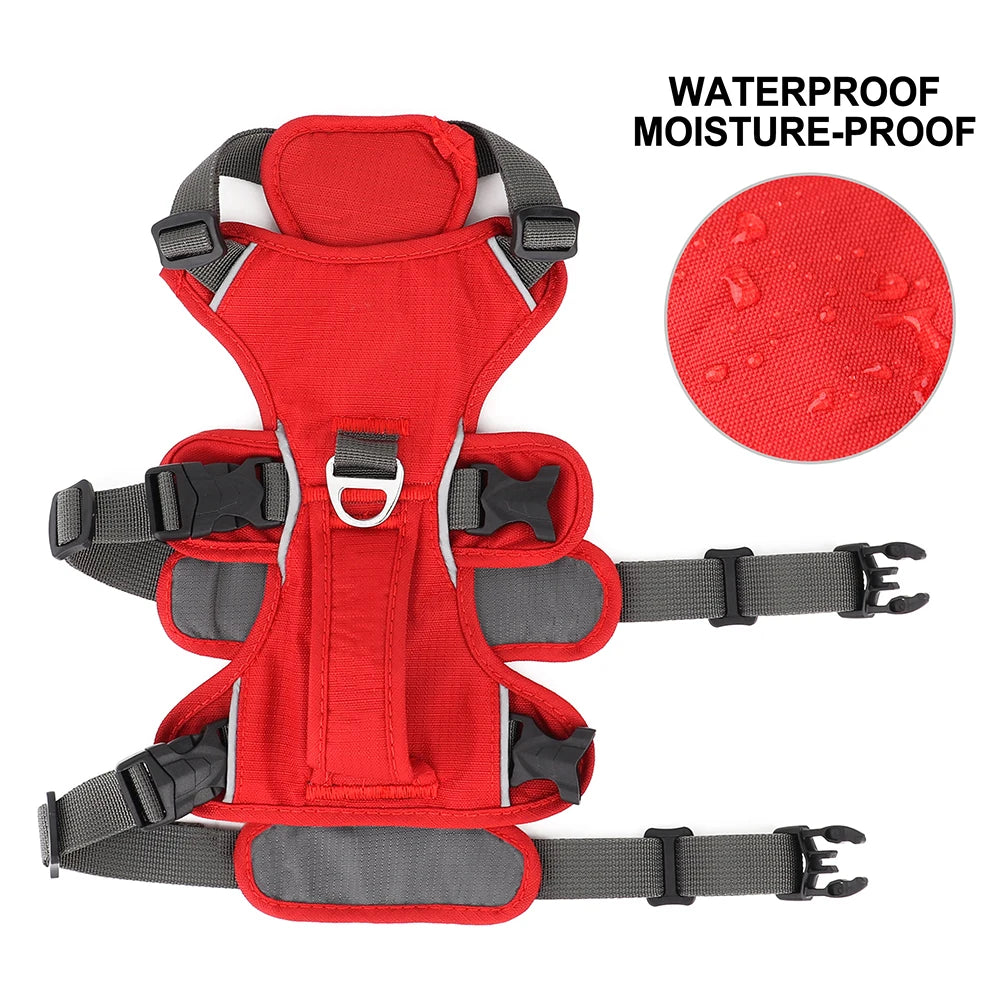 Fully Adjustable Waterproof Padded Harness