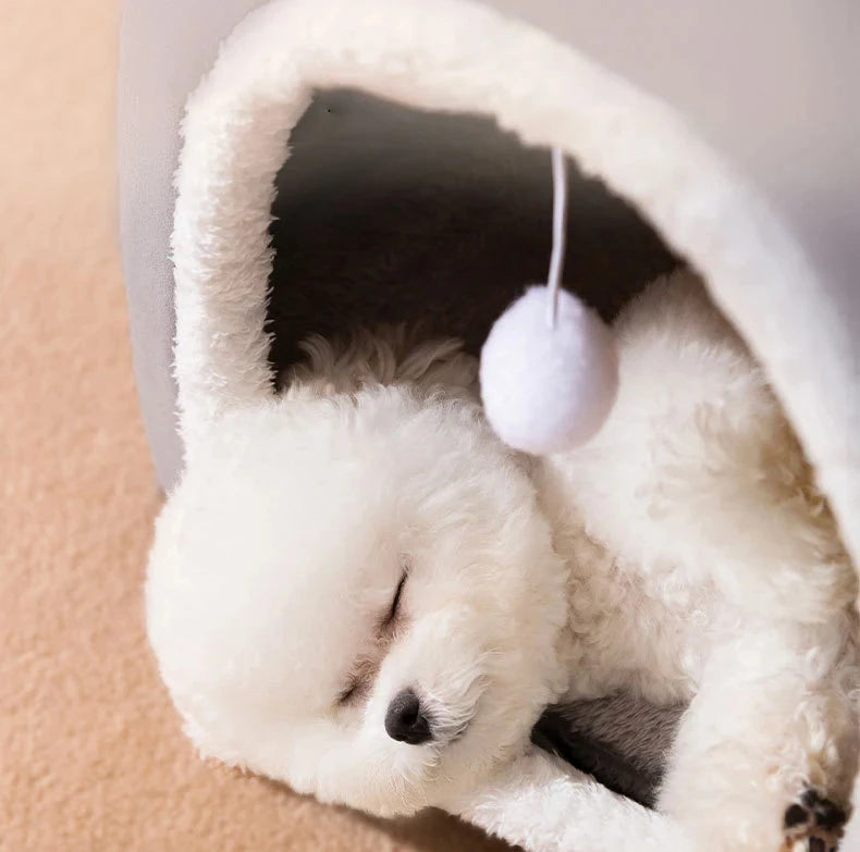 Doggy Den