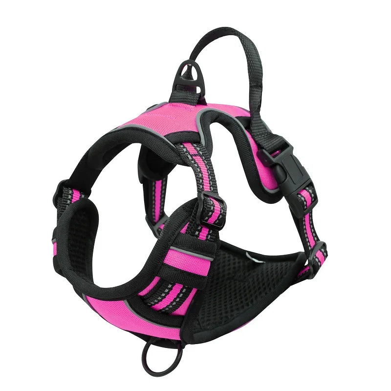 Padded and Reflective Harness