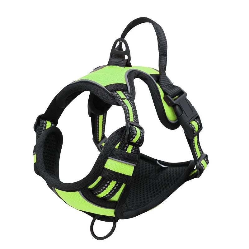 Padded and Reflective Harness