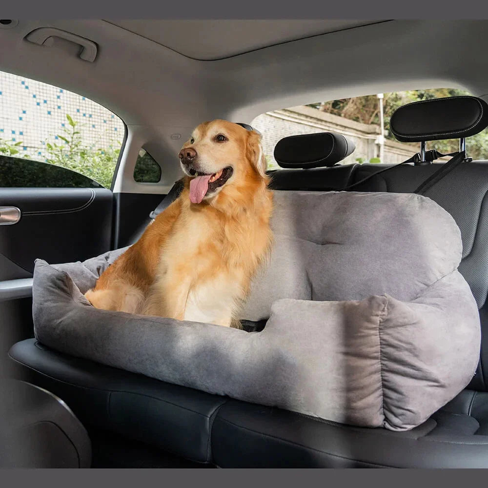 Chillin' in the back!