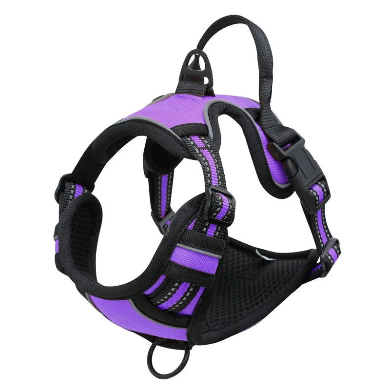 Padded and Reflective Harness
