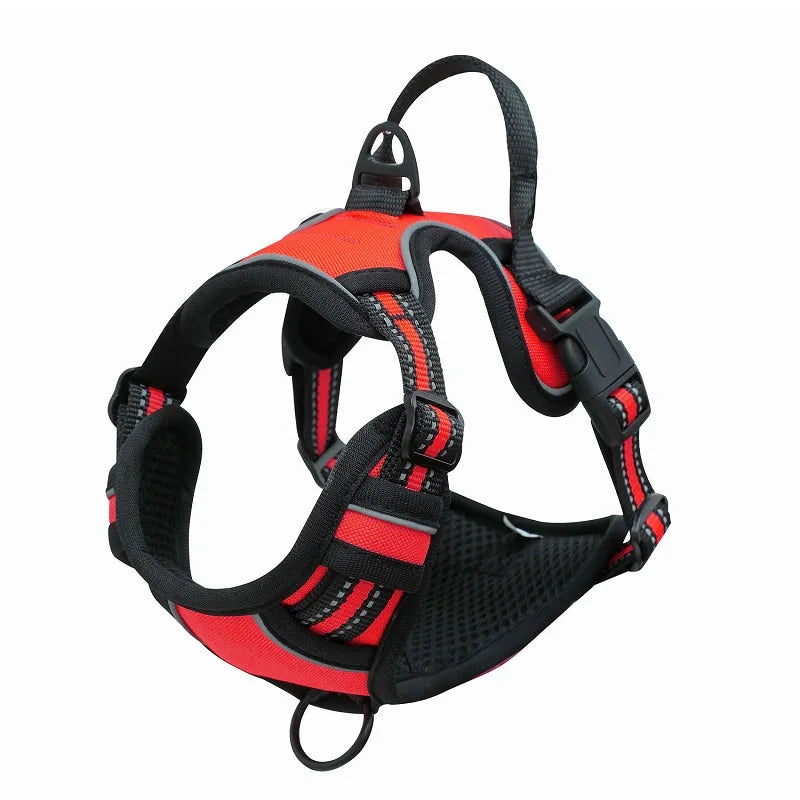 Padded and Reflective Harness