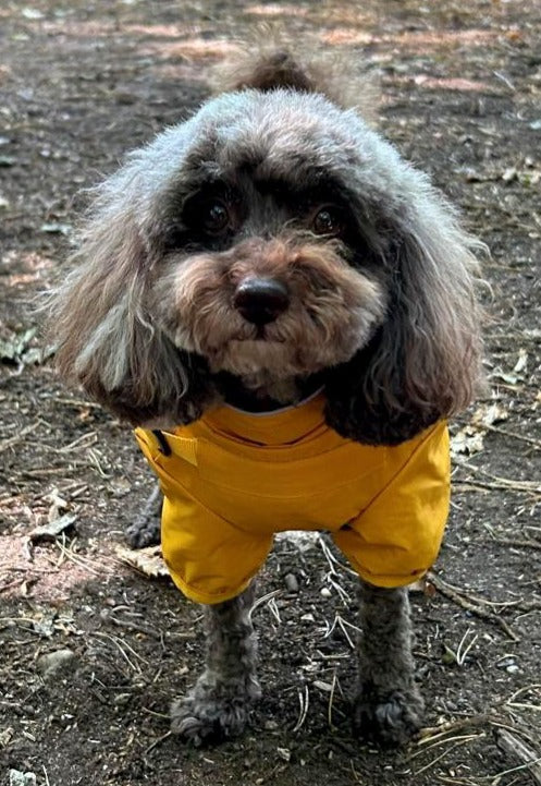 Waterproof Rain Jacket with Harness