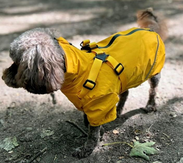 Waterproof Rain Jacket with Harness