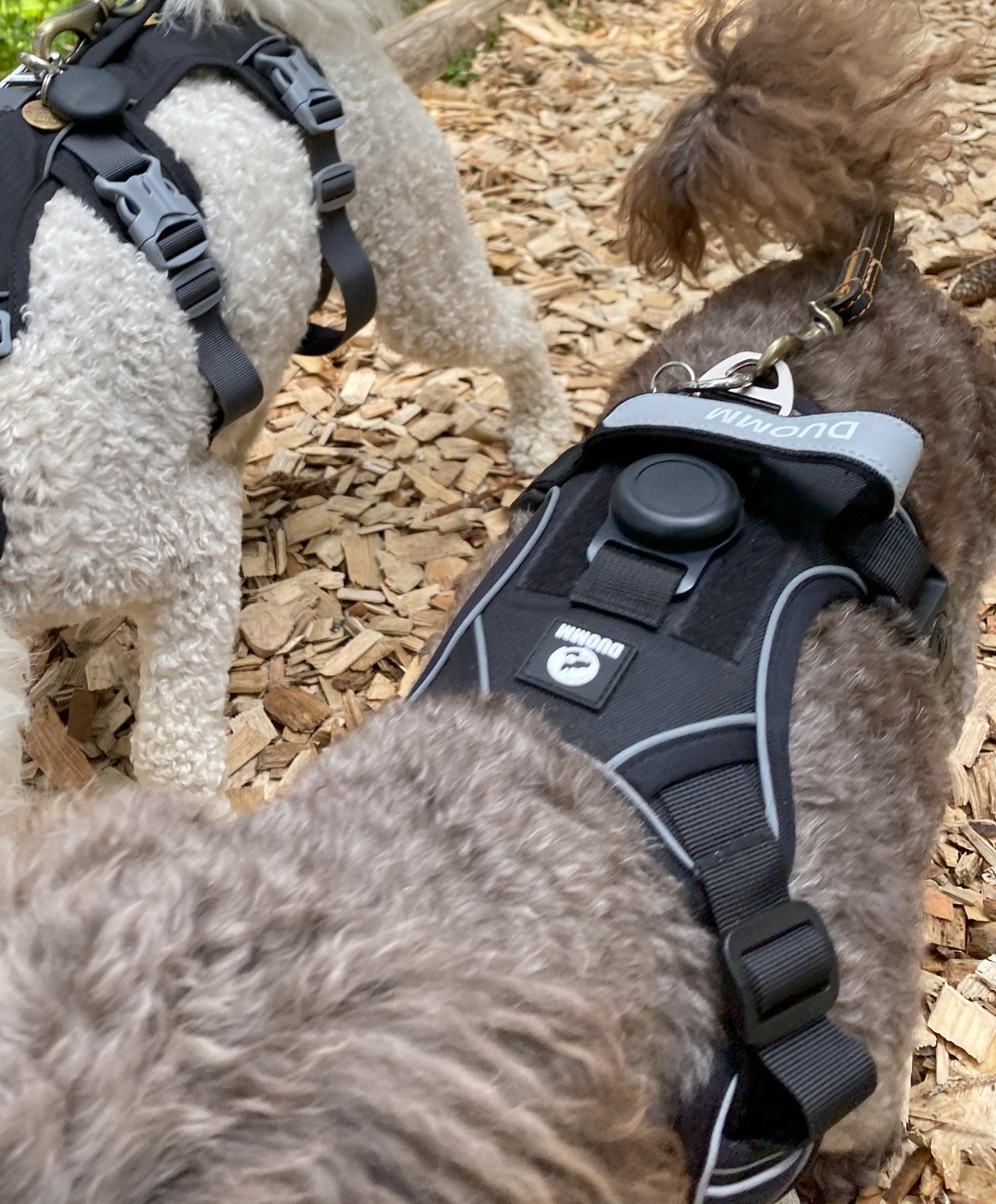 Breathable Harness with Integrated Air Tag Holder