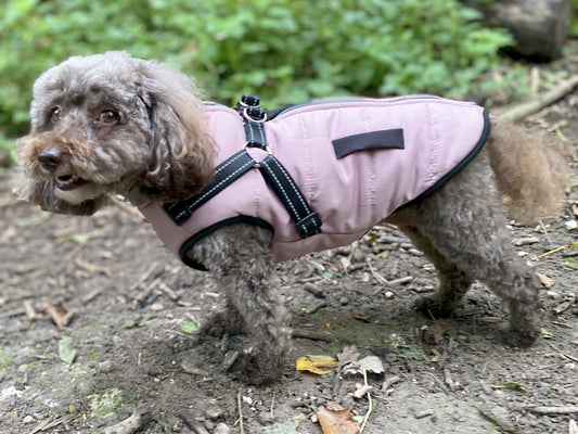Winter Warm Reflective Coat
