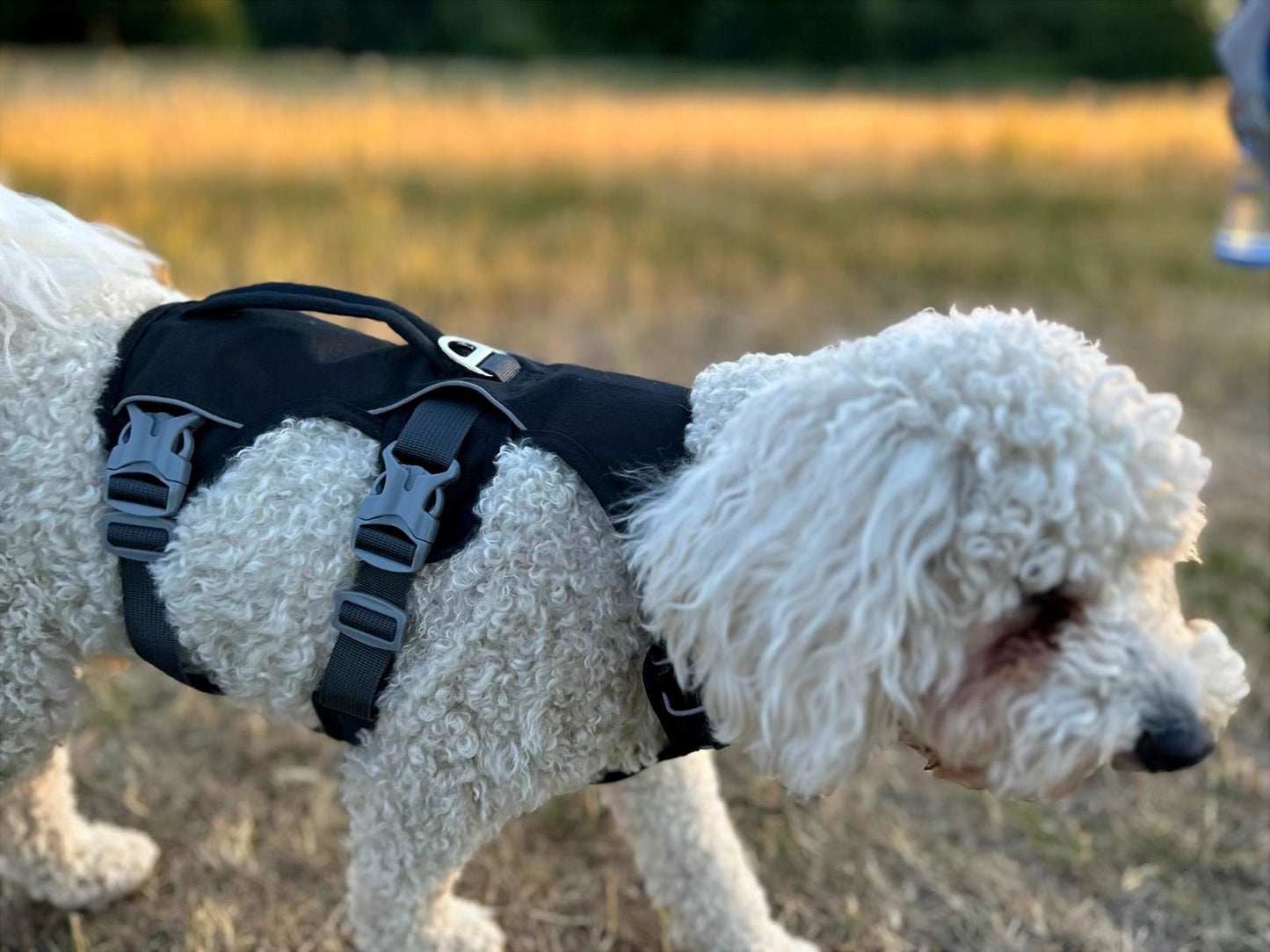 Durable Dog Harness