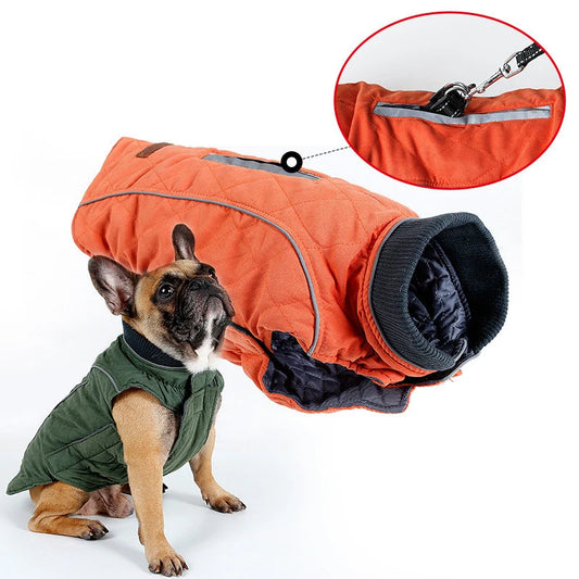 Quilted Dog Coat