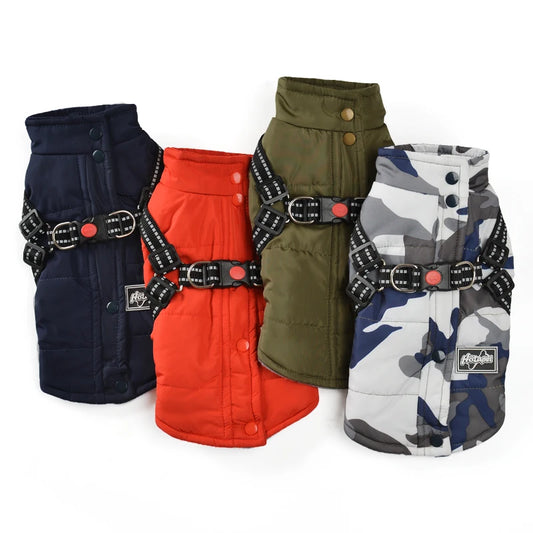 Coat with Harness for the Smaller Dog or Puppy