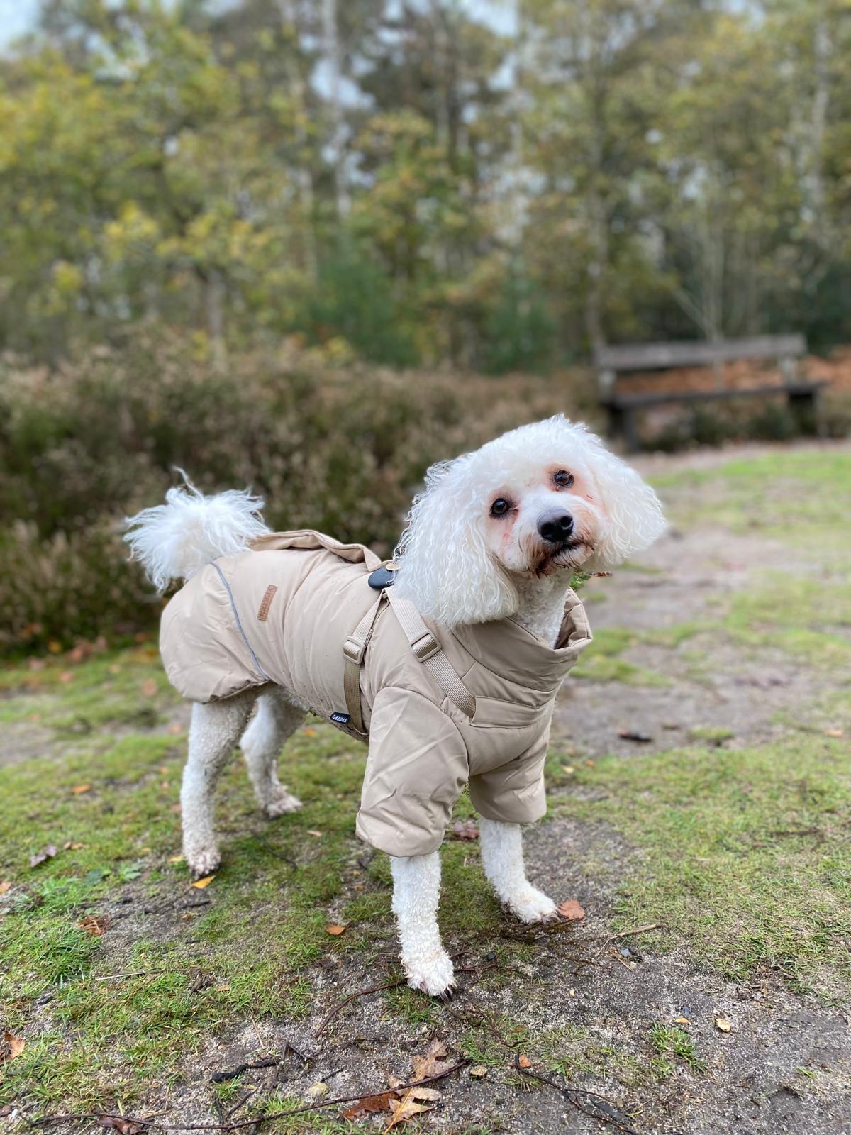 Winter Waterproof Storm Coat