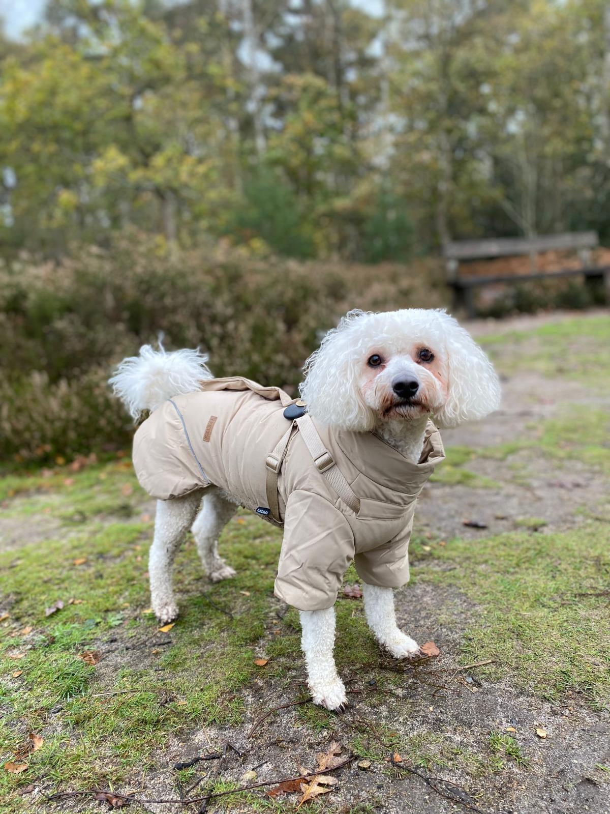 Winter Waterproof Storm Coat